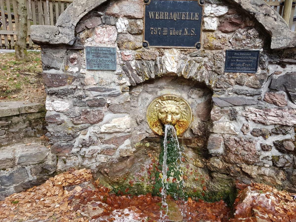 Ferienhaus Lyhs Fehrenbach Eksteriør billede